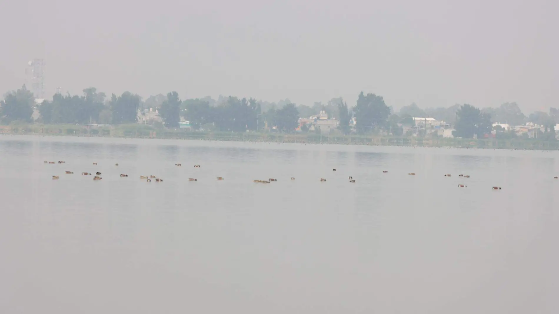 Área Natural Protegida del lago de Tláhuac-Xico